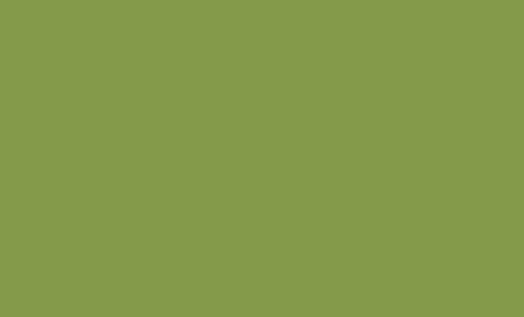 E. Mel. MDF 1cara Verde Kiwi 5,5mm - U626 ST9